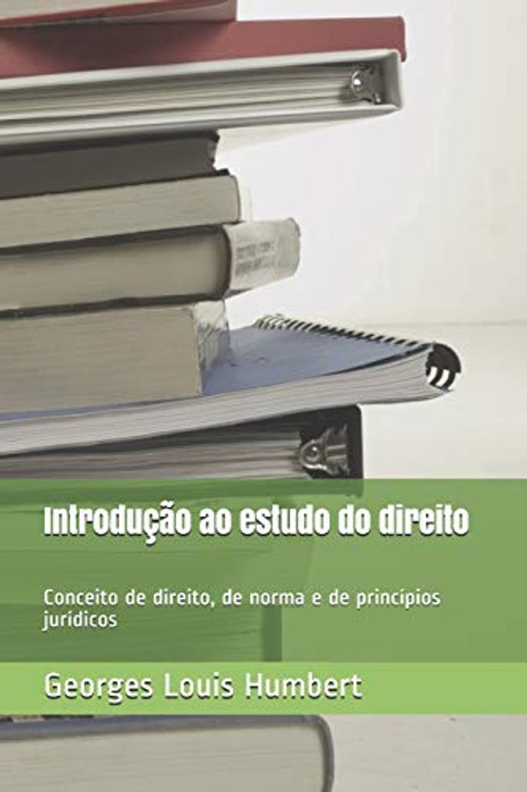 Libro Introdução ao estudo do direito: Conceito de direito, de norma e de princípios jurídicos