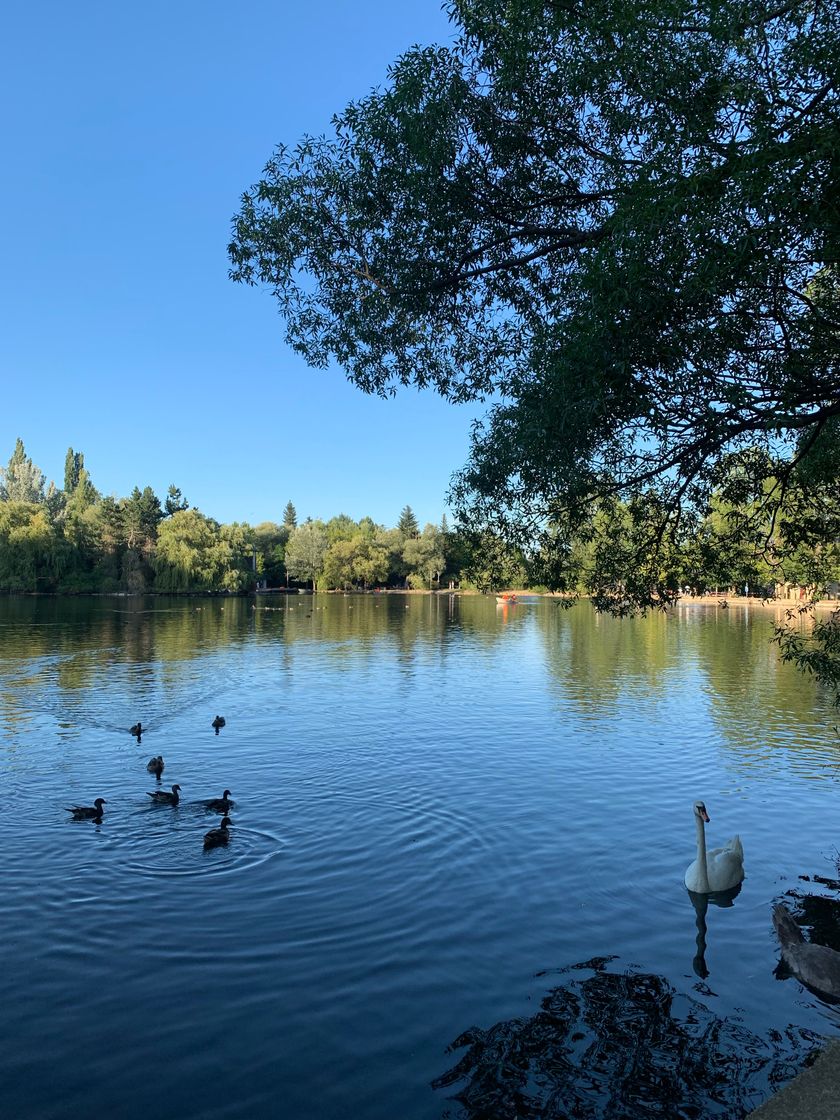 Lugar Lago de Puigcerdá