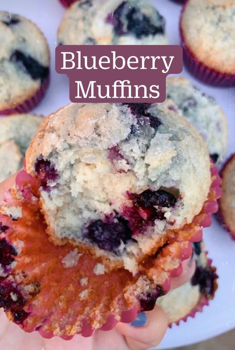 Moda Muffins de mirtilo 