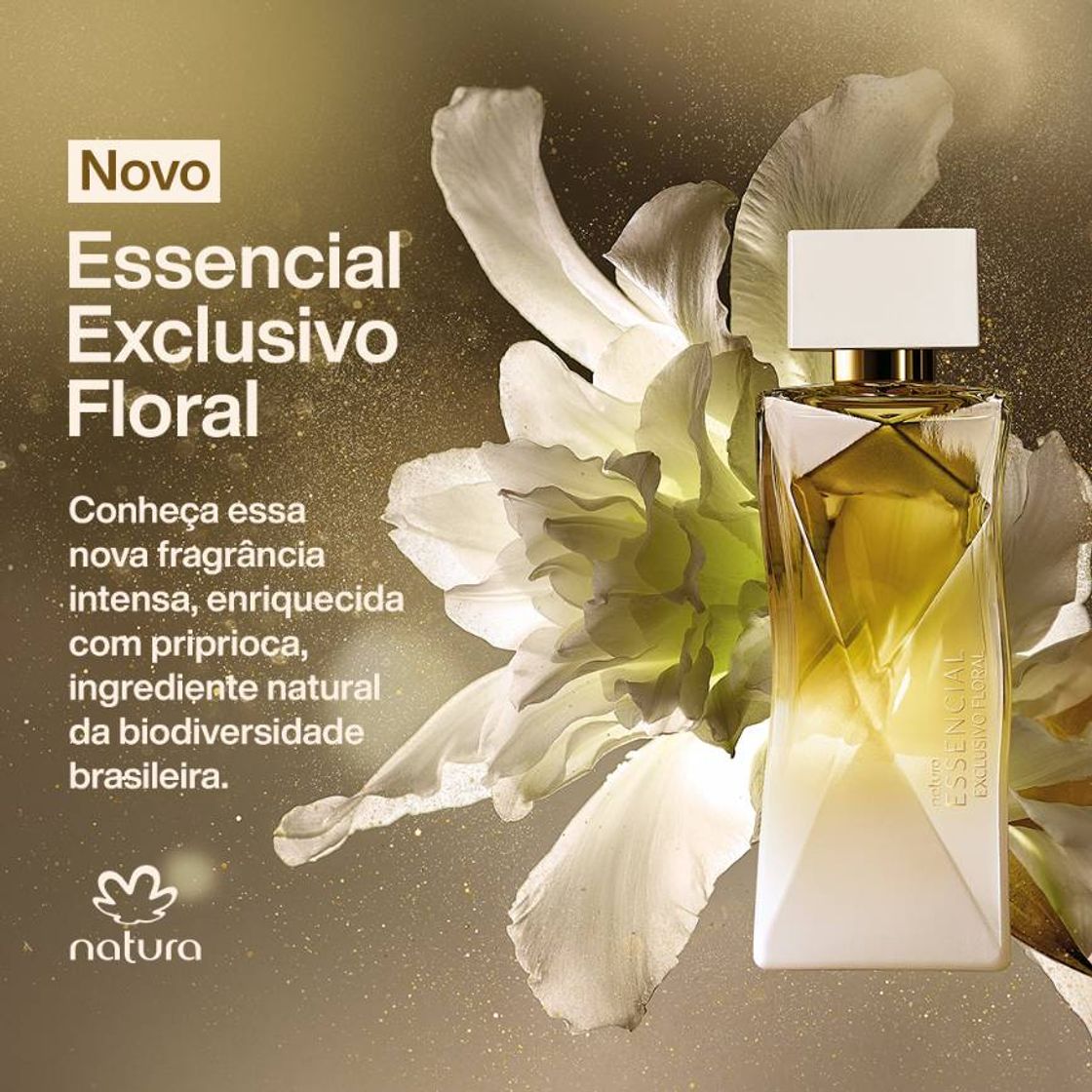 Moda Perfumaria e belza