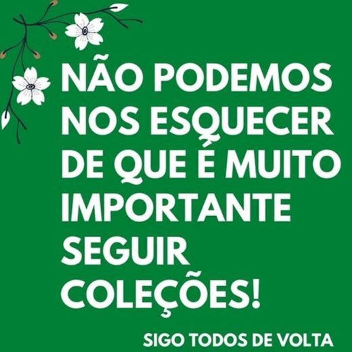 Social Vamos se ajudar, me segue, visite minha coleções, retribuiu.
