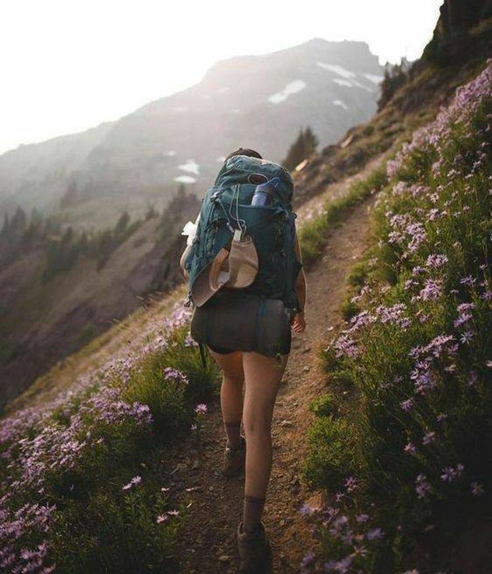Social Te de bom sair por aí...