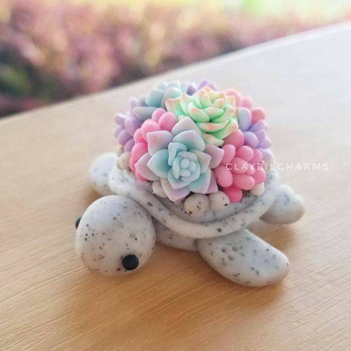 Moda Que coisinha mais linda🐢