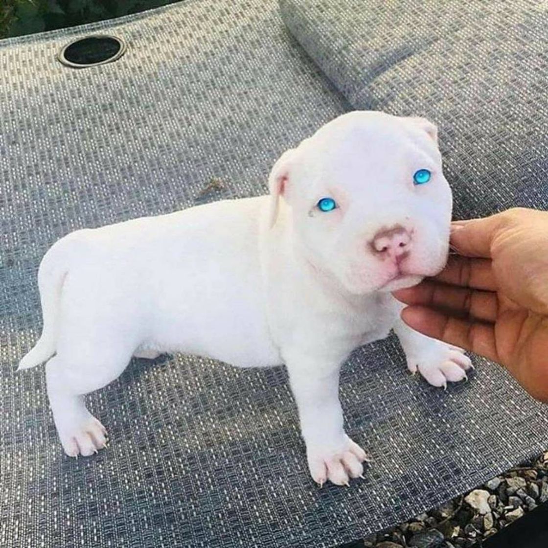 Moda  E esses olhos 💙