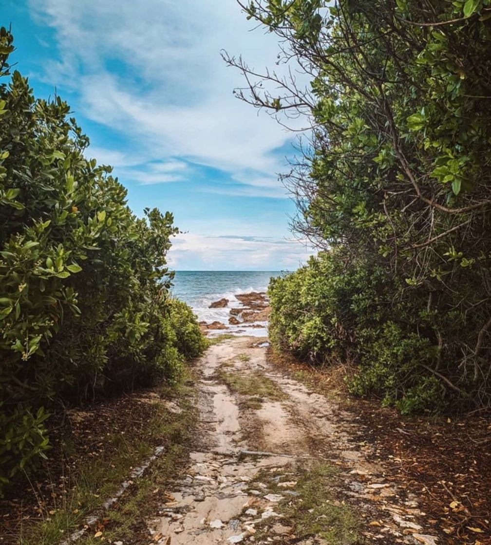 Lugar Praia de Lagoinha