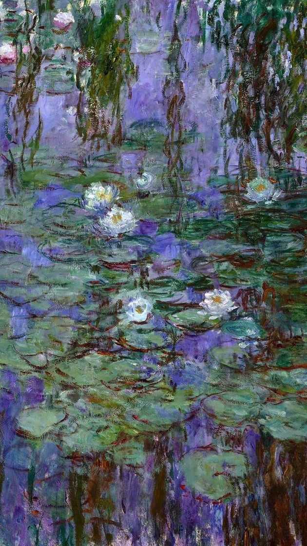 Social Nenúfares (Claude Monet)