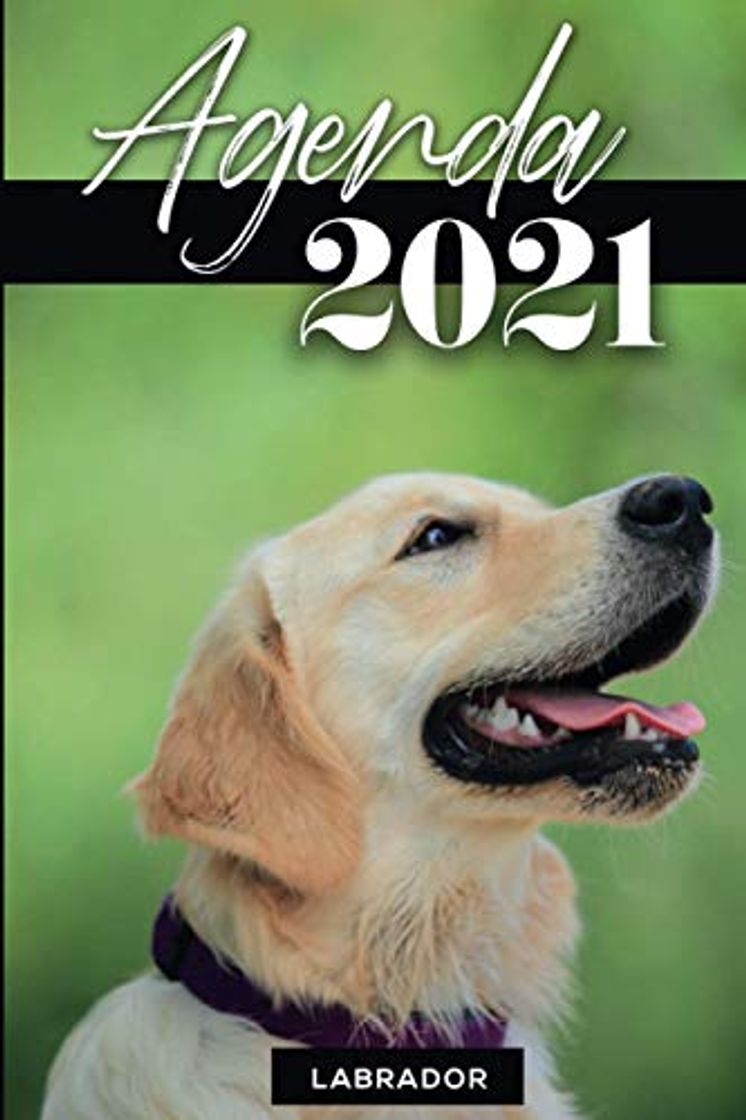 Book Agenda 2021 : Labrador: Année 2021 (de Janvier à Décembre 2021)