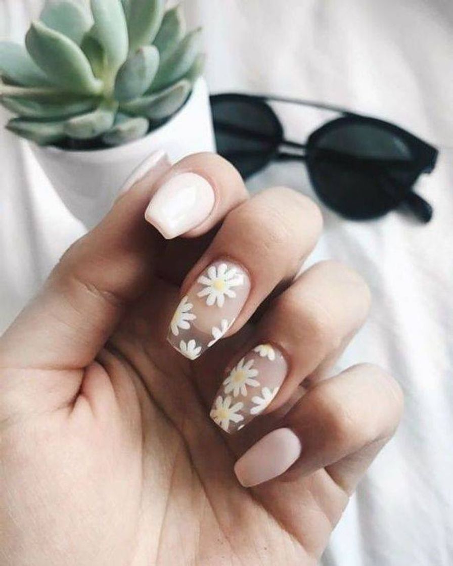 Moda Daisies flowers 🌼