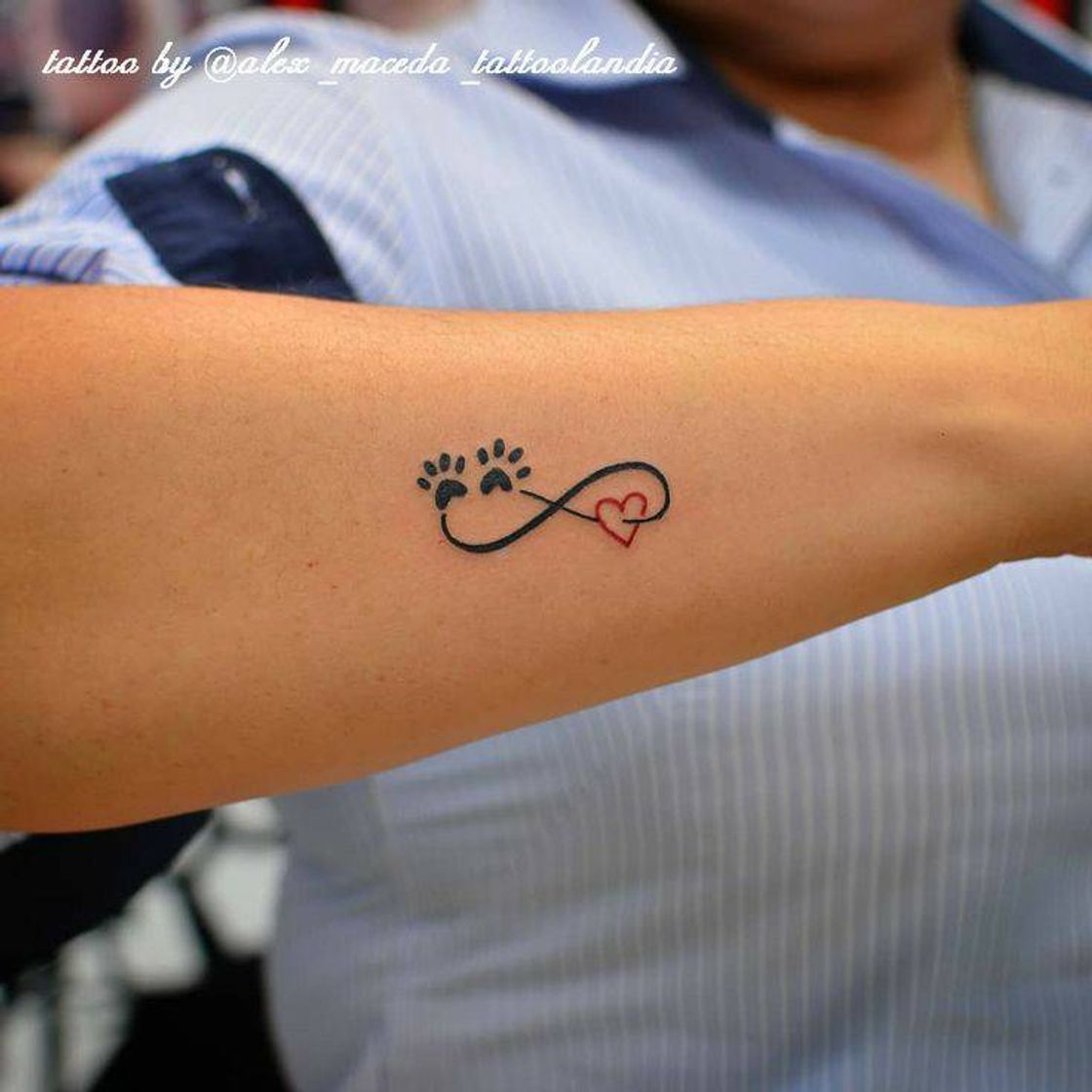 Social Tattoo🐕‍🦺🐩