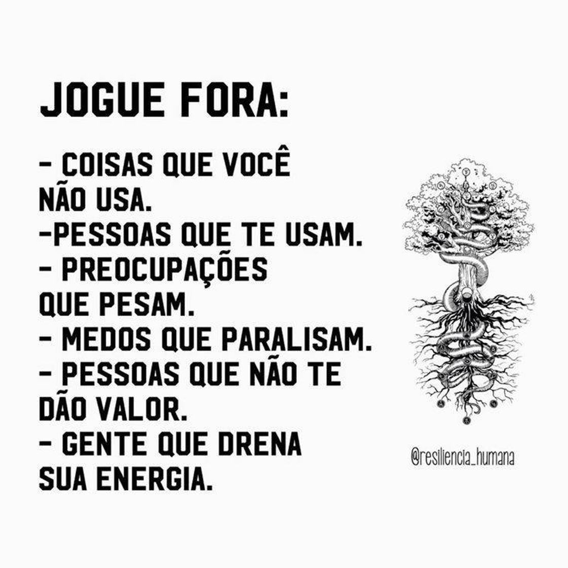 Fashion Frase do dia 