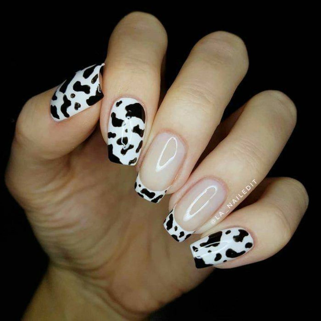 Moda Unhas