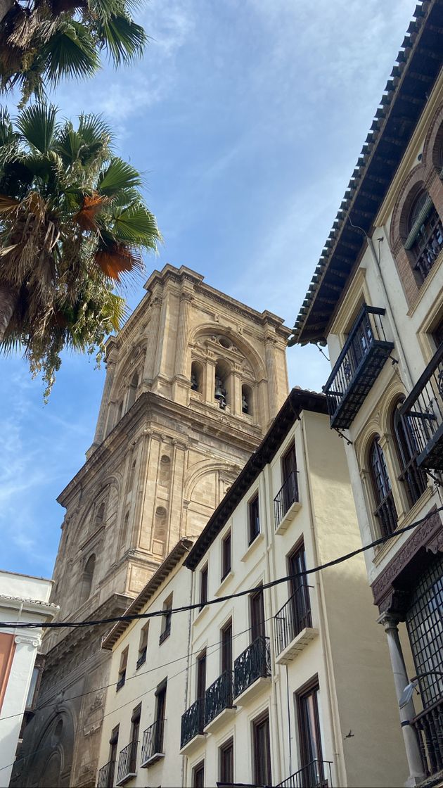 Lugar Catedral de Granada