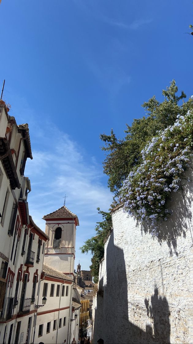 Place El Albaicín