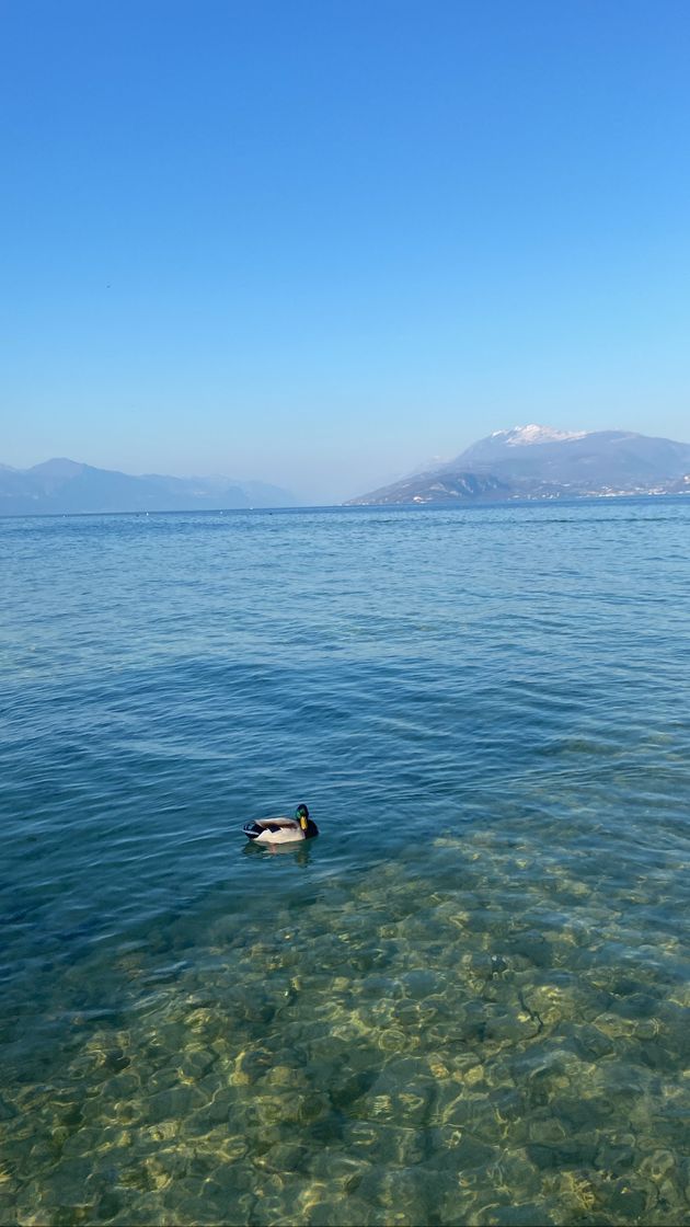 Lugares Sorgente Acqua Sulfurea Calda