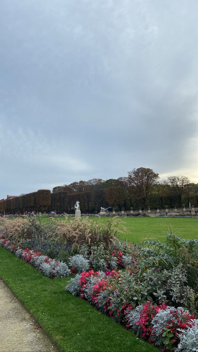 Lugar Jardines de Luxemburgo