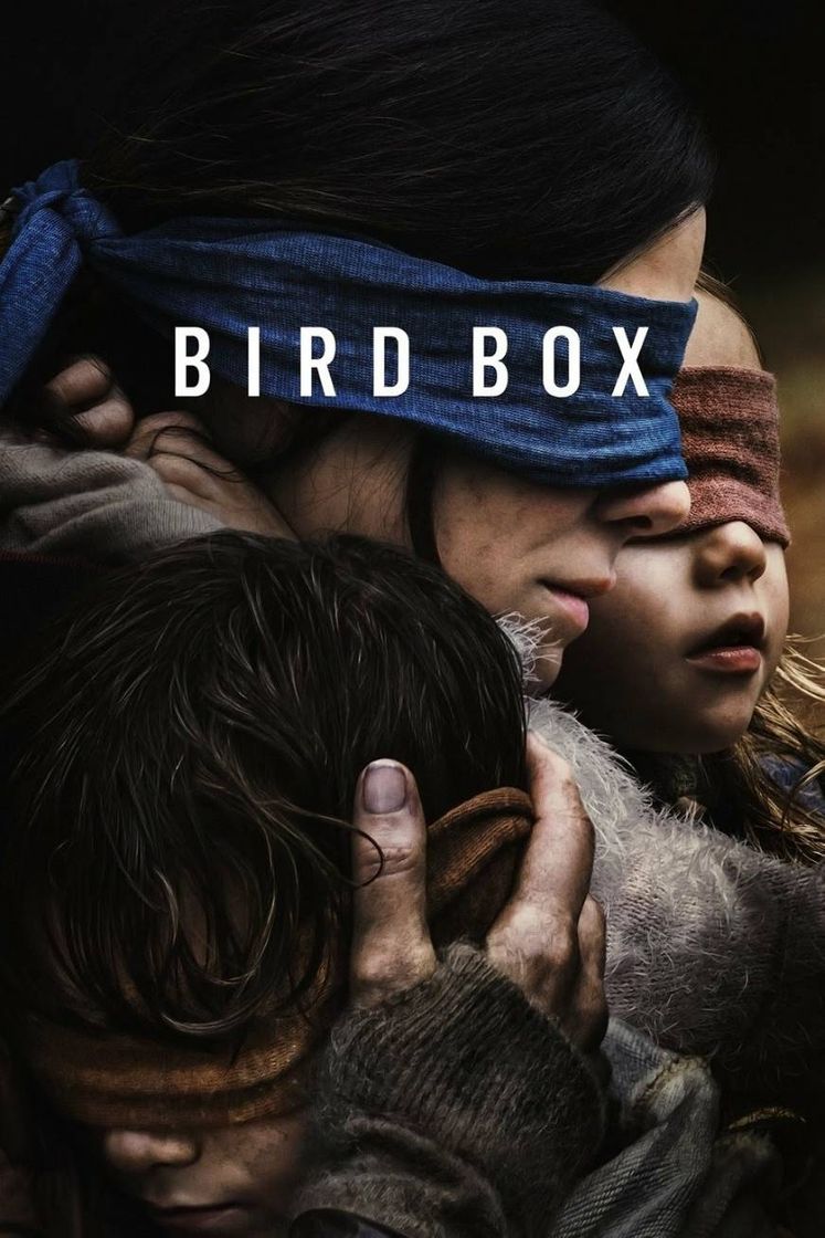 Movie Bird box 