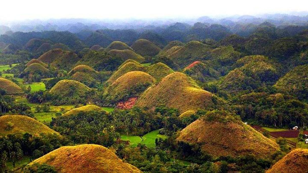 Lugar Colinas de Chocolate 🍃🍂🌲🍫🍫       Vietnam 🇻🇳
