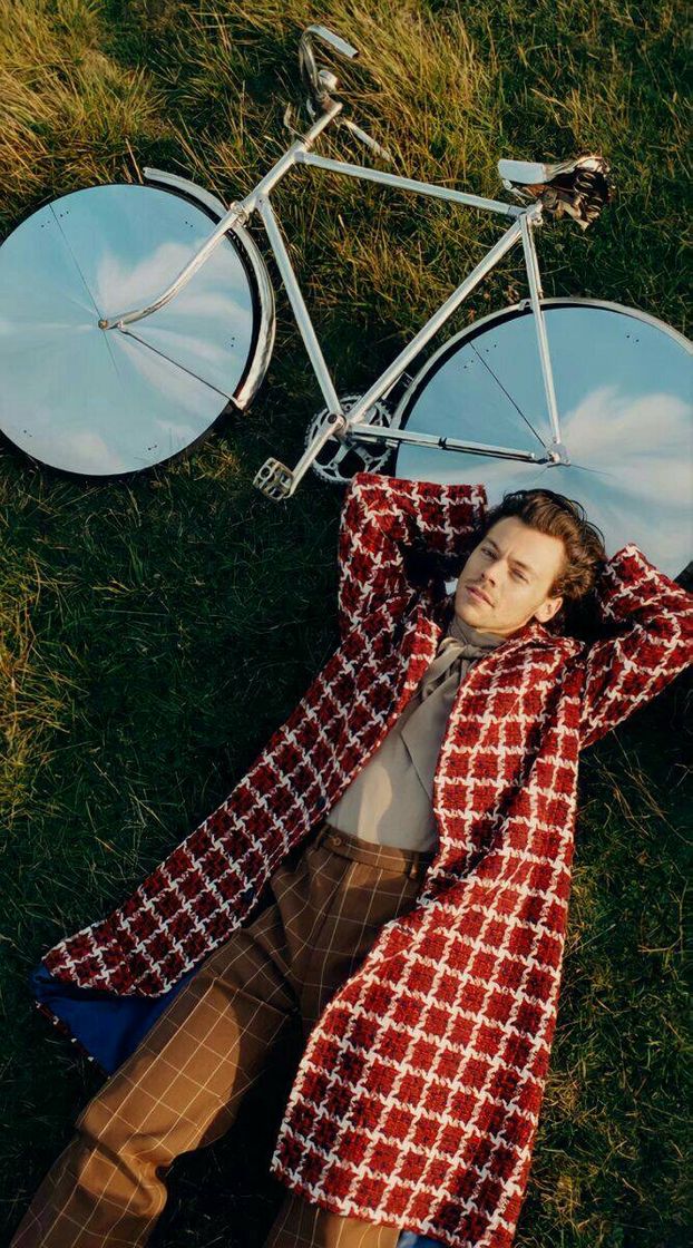 Social Harry Styles