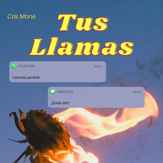 Tus llamas