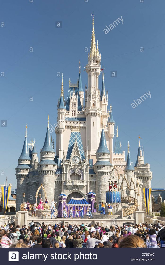 Place Magic Kingdom