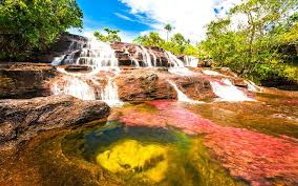 Lugar Caño Cristales