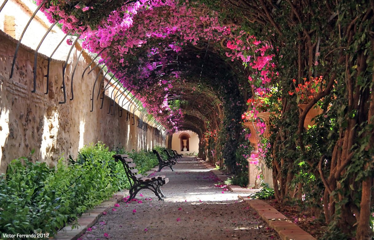 Place Jardines de Monforte