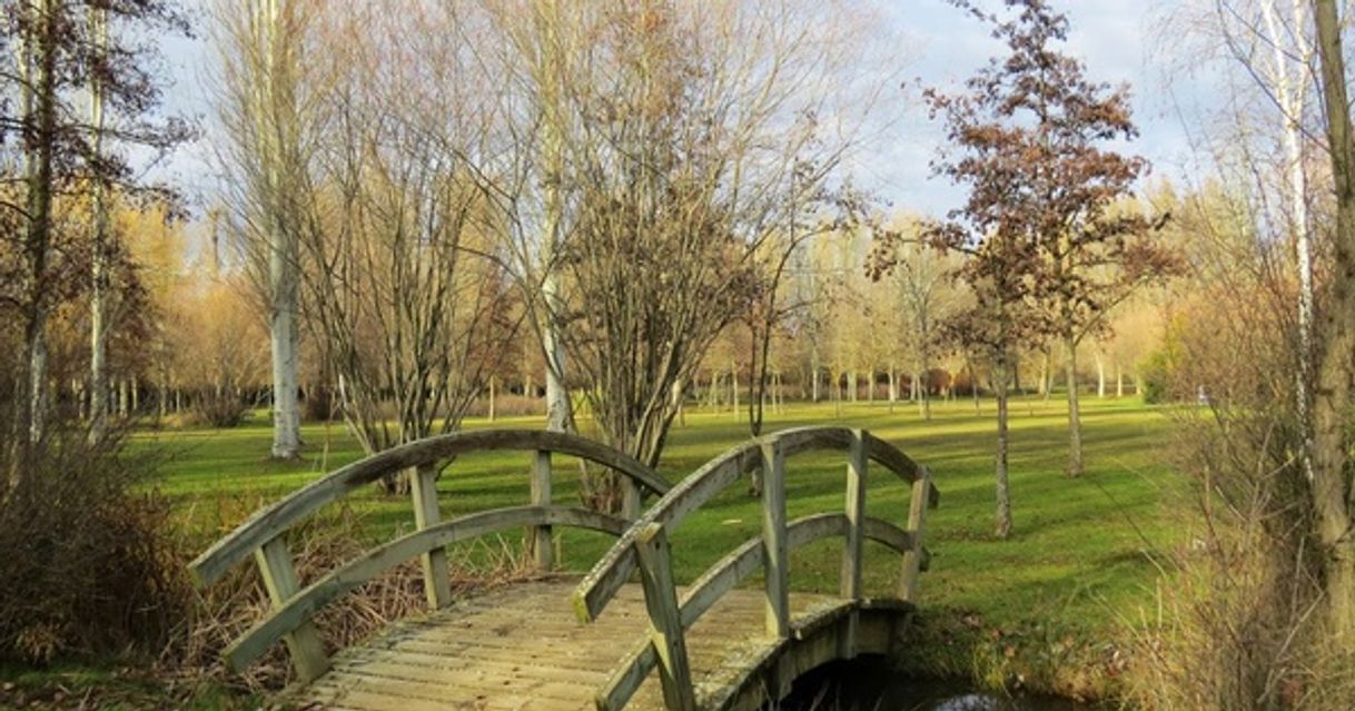 Lugares Parque de la Candamia