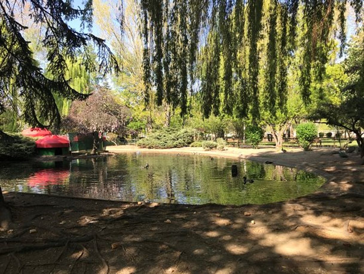 Place Parque De Quevedo