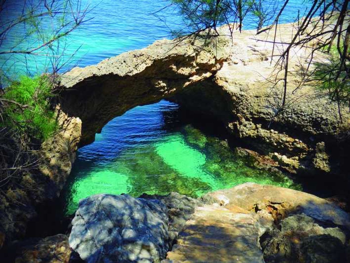 Lugar Cala Cocodrilo