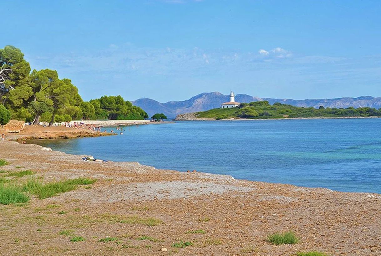 Platja d'Alcanada
