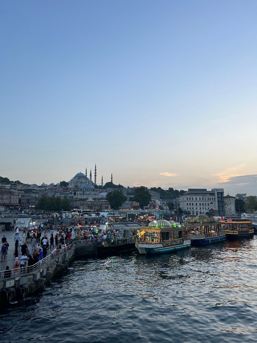 Place Galata Bridge