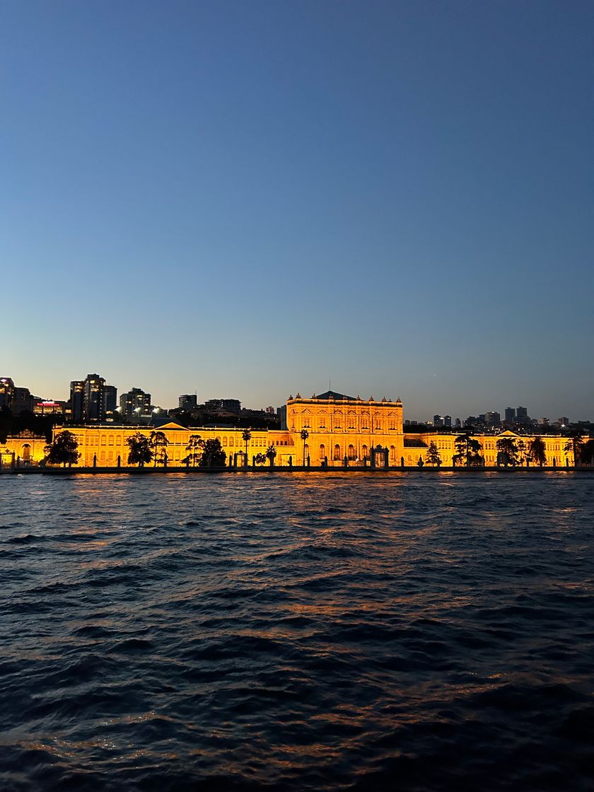 Place Bosphorus Cruise Tours Istanbul