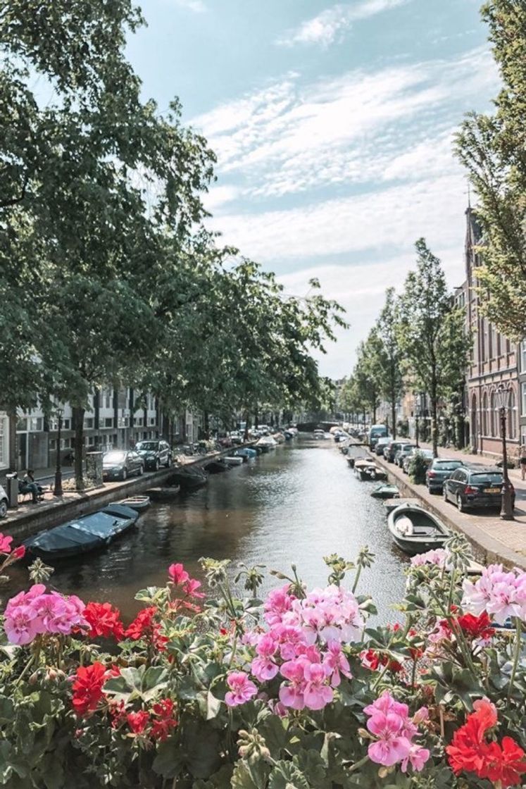 Moda Mais 1 para coleção de Amsterdam 😍