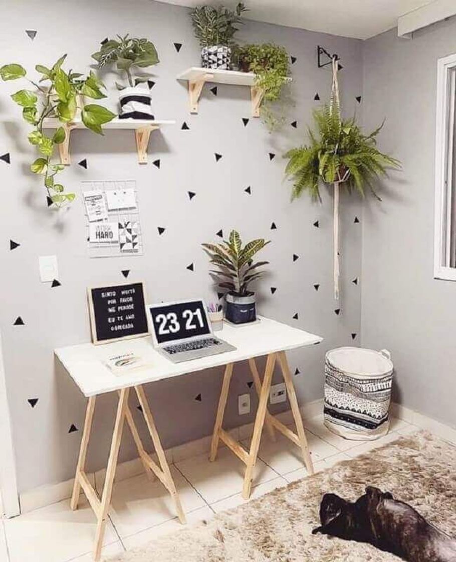 Fashion Decoração com plantas 