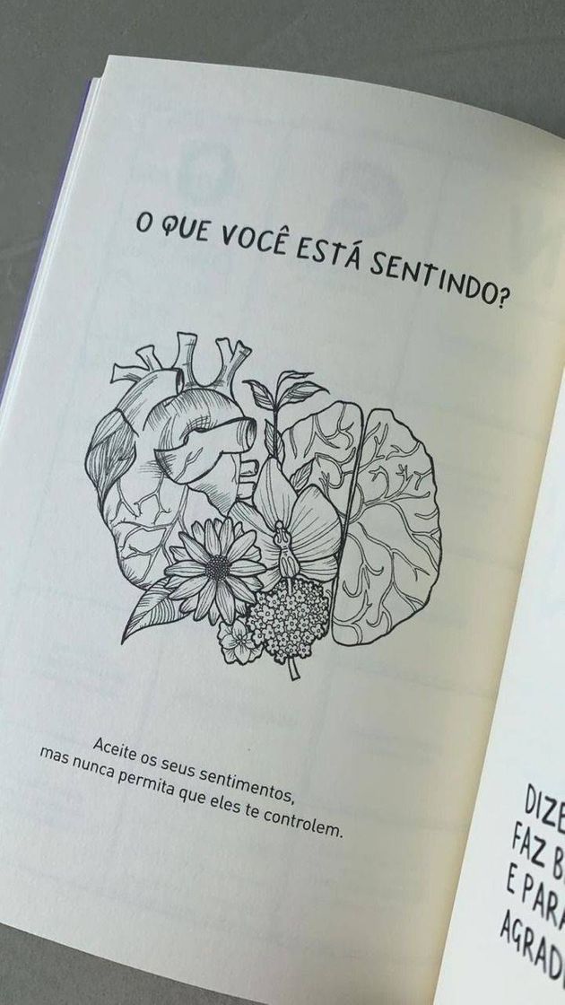 Book Livro