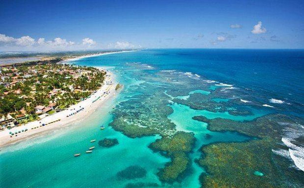 Fashion Porto de galinhas (PE) que lugar😍