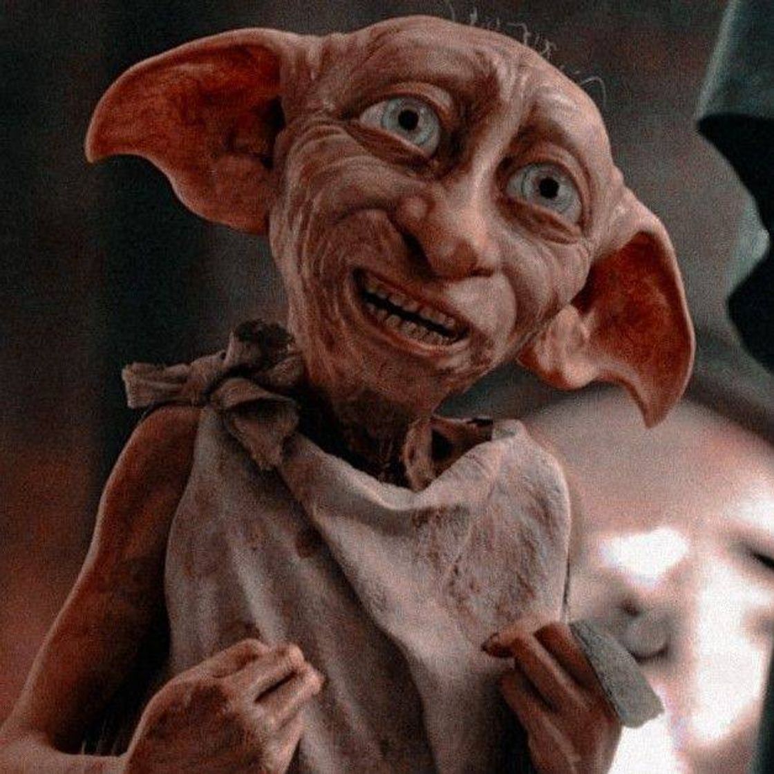 Moda Icon Dobby