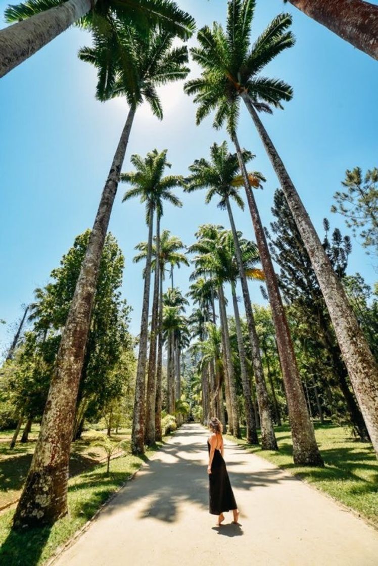 Lugar Jardim Botânico