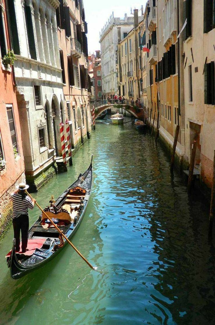 Place Venecia