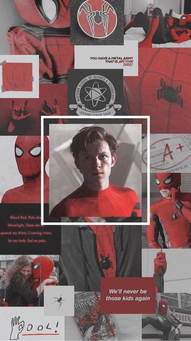 Fashion Wallpaper Tom Holland 