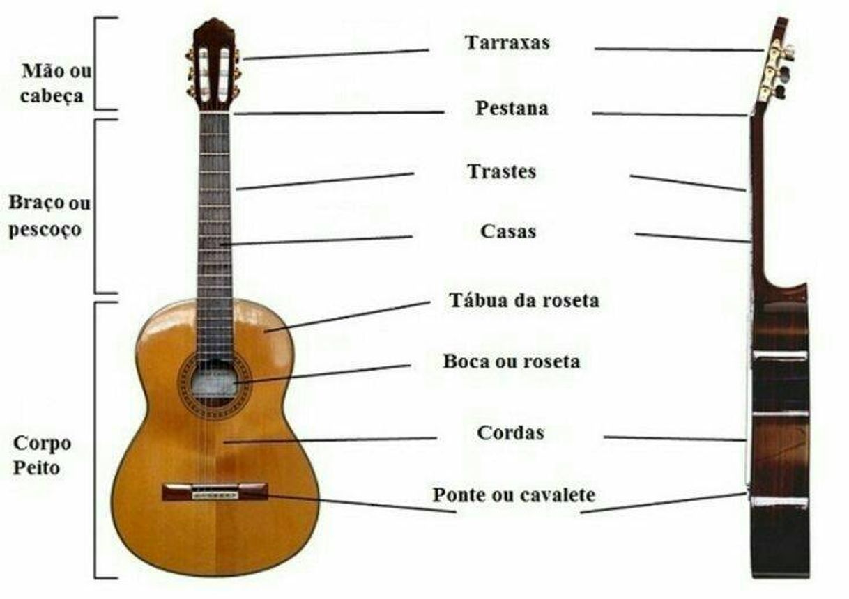 Fashion Dicas para conhecer melhor o violão.