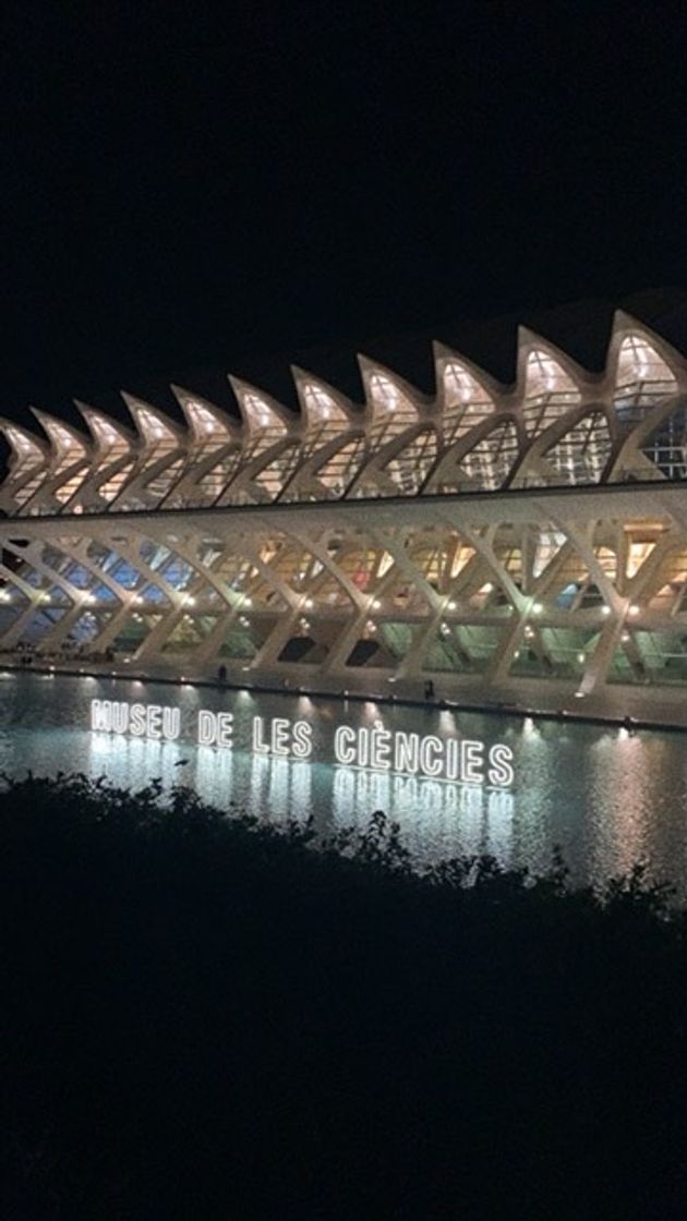 Place Ciudad de las Artes y las Ciencias