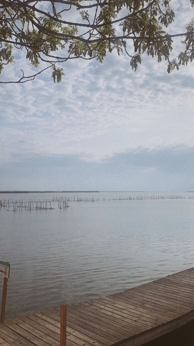 Place Albufera de Valencia