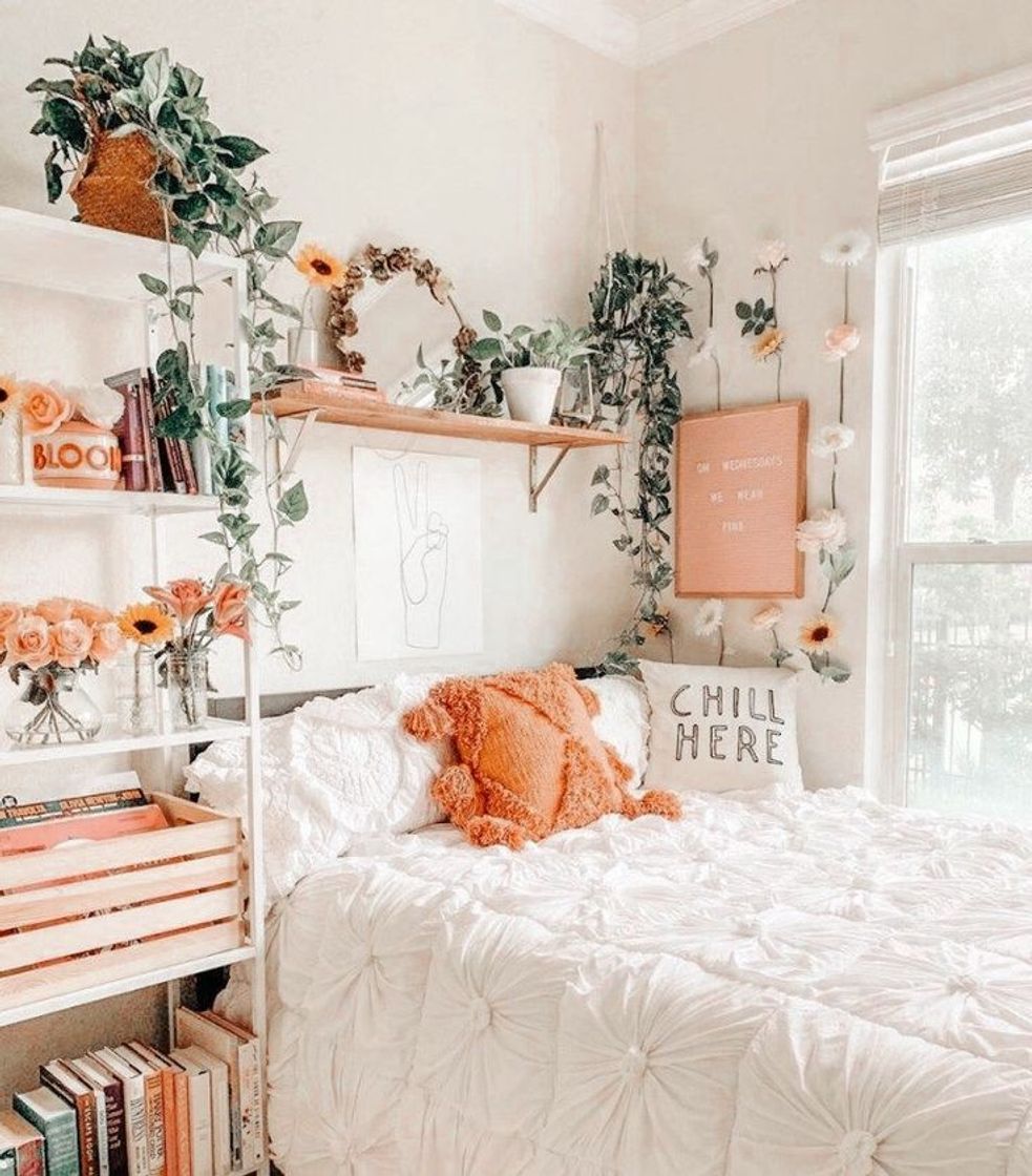 Social Bedrooms #19