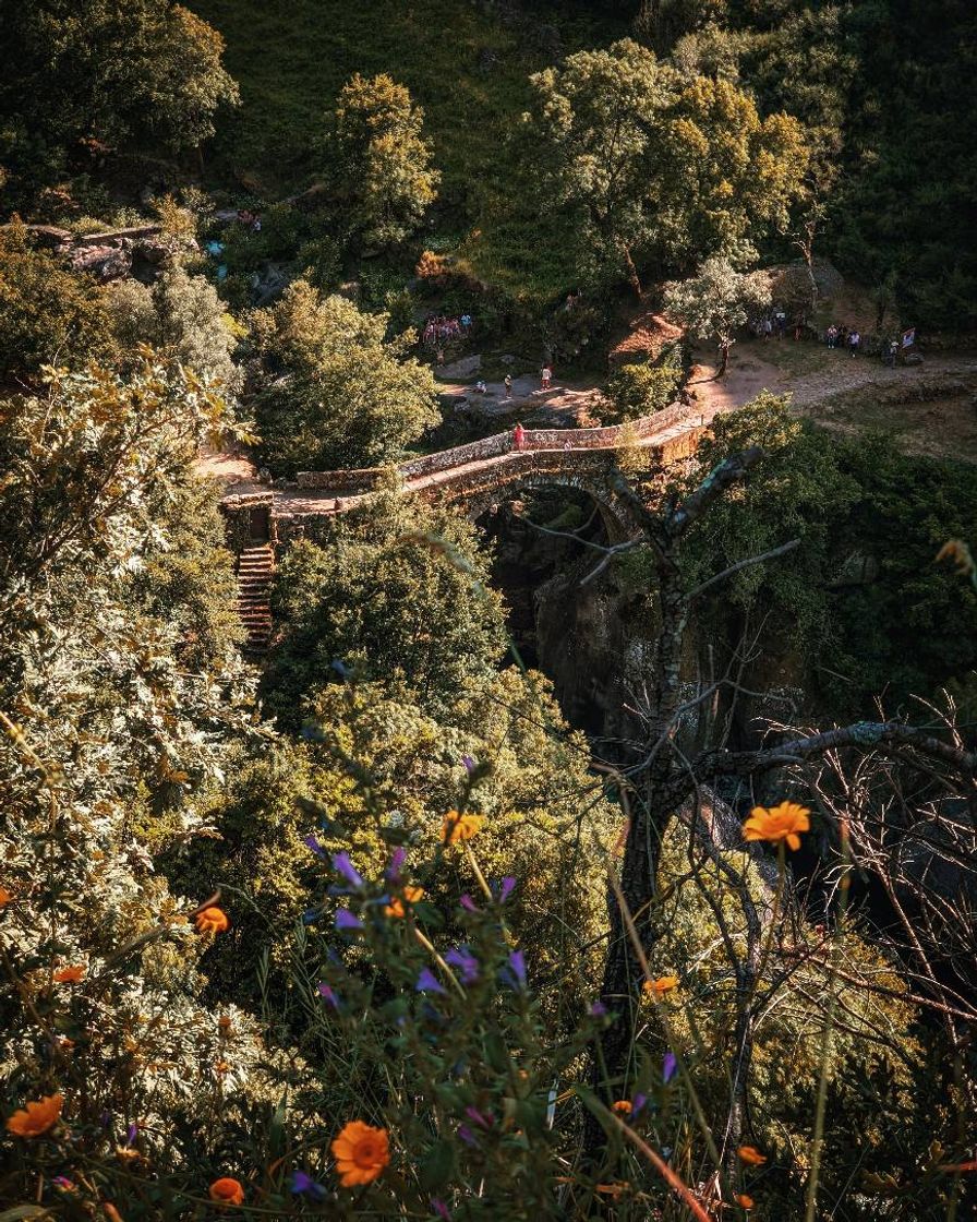 Place Ponte da Misarela