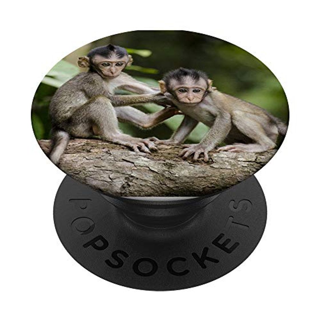 Moda lindo mono naturaleza bebé mono mono cabeza de mono PopSockets PopGrip