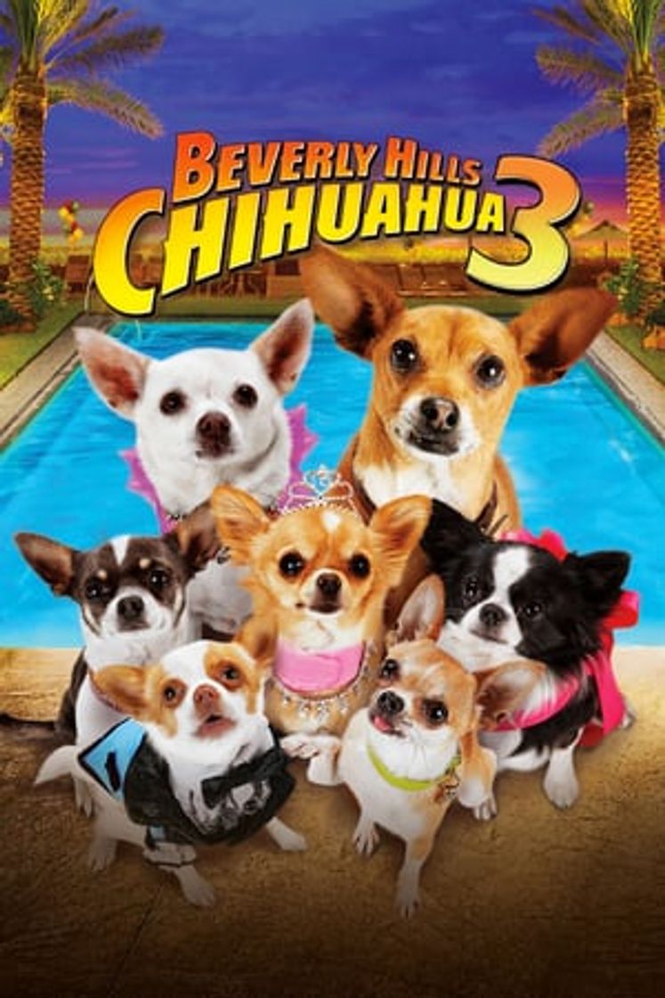 Película Un chihuahua en Beverly Hills 3: ¡Que viva la fiesta!