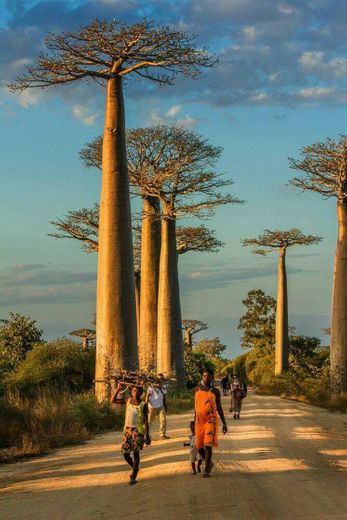 África_Madagascar ❤🌍