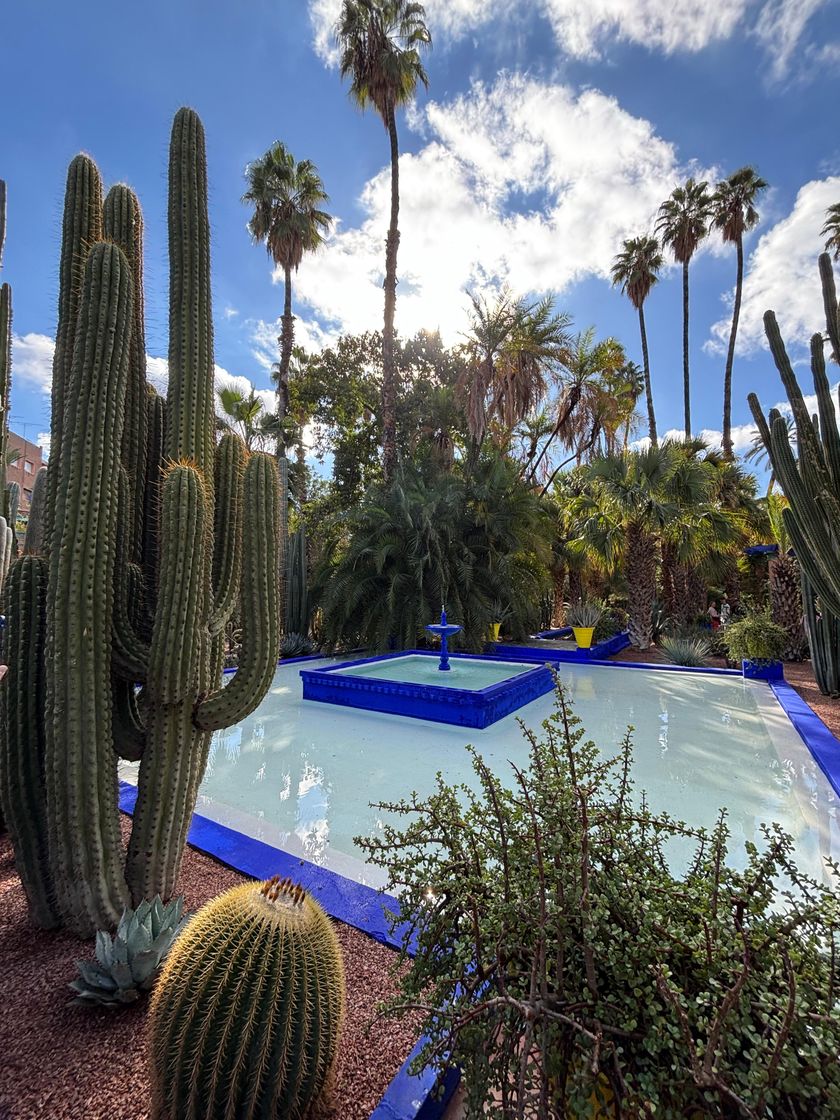 Place Jardín Majorelle