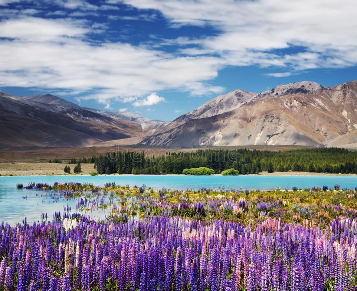 Lugar Lake Tekapo